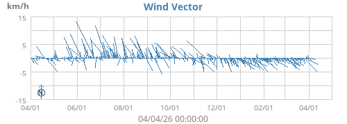 Wind Vector